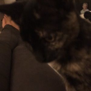 Meet your Posher, Heidi